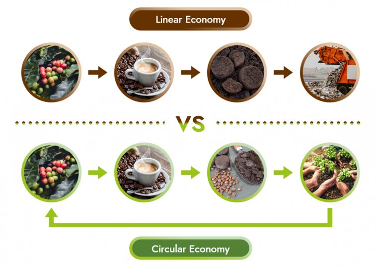 linear vs circular economy